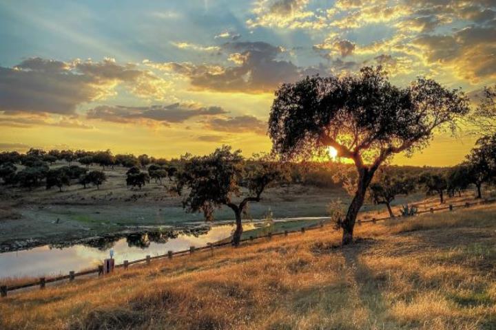 Circuit de 9 jours en Alentejo – Séjour dans des Pousadas historiques